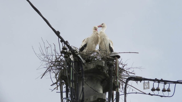   | Foto: Christine Ehlenbrker