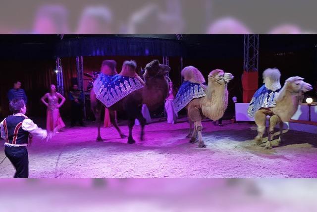 Circus Rudolf Busch gastiert auf dem Messeplatz