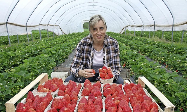 Allenthalben rote Frchtchen: Theresa aus Polen ist emsig am Pflcken.   | Foto: Paul Mann