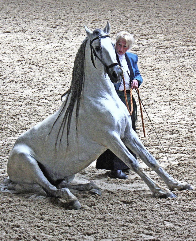 Doris Wideburg mit ihrem Hengst &#8222;Lebrero&#8220;.   | Foto: Dorothe Kuhlmann