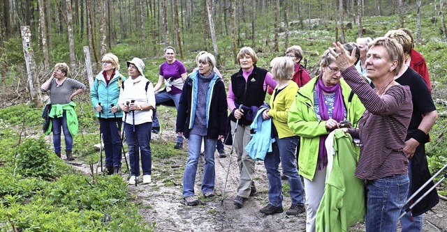 Auf dem Weg nach Blumegg gab es allerlei zu bestaunen.  | Foto: Daniel Bartel