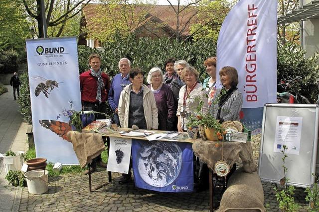 Brlauch, Goldrute und Ringelblumen