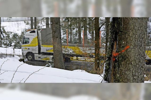 Bume entlang der B500 und der Dreiseenbahn werden aus Sicherheitsgrnden gefllt