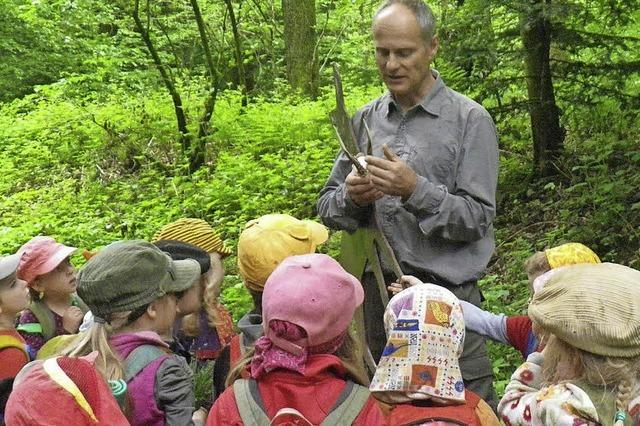 Bisher nur vier Zusagen für Waldkindergartengruppe