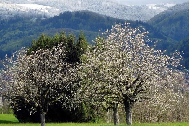 Der April macht, was er will