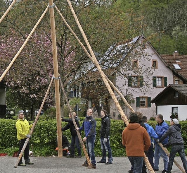 Mit Untersttzung von Ortsvorsteher He...brger  den Maibaum in die Vertikale.   | Foto: lacher