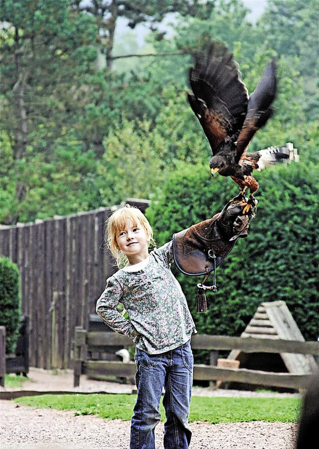 Kleines Mdchen, ganz gro<ppp></ppp>  | Foto: Vogelpark Steinen