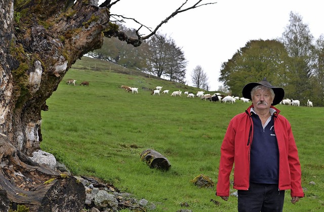 Wendelin Rombach und seine Ziegen: Run...n Landschaftspflegern frei gehalten.    | Foto: Paul Berger