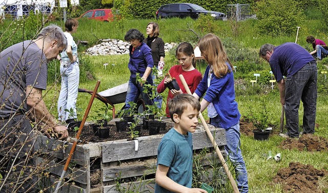 Kinder und Erwachsene hacken, buddeln, pflanzen und pflegen.   | Foto: zVg