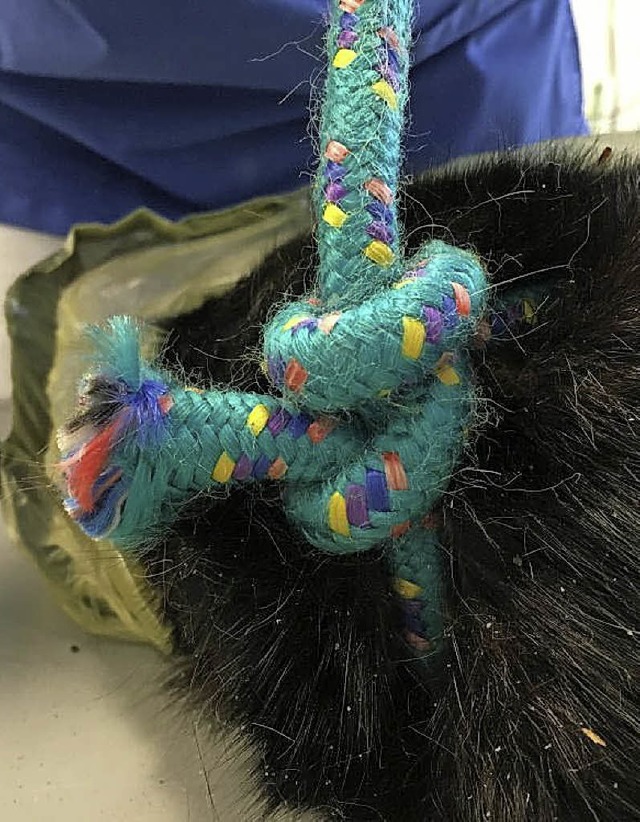 Mit diesem Seil wurde die Katze festgebunden.   | Foto: Praxis Kiefer
