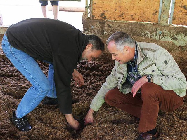 Andreas Hummel (Mitte links) und Herbe...ustand des Komposts aus dem Kuhstall.   | Foto: Erich Krieger