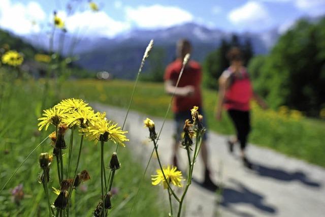 Gefhrte Wanderungen auf dem Westweg und Hocks