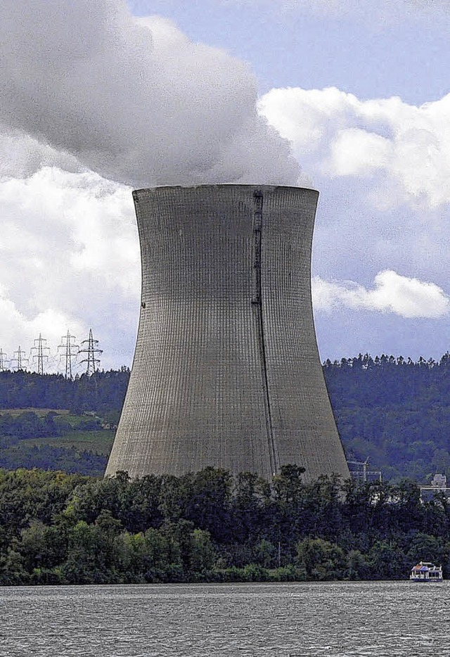 Khlturm des Atomkraftwerks Leibstadt   | Foto: Manfred Herbst