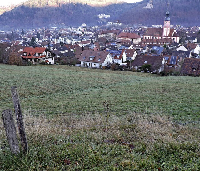 Der Zaun am unteren Bildrand markiert ...ommende Regenwasser auffangen sollen.   | Foto: Sylvia Sredniawa