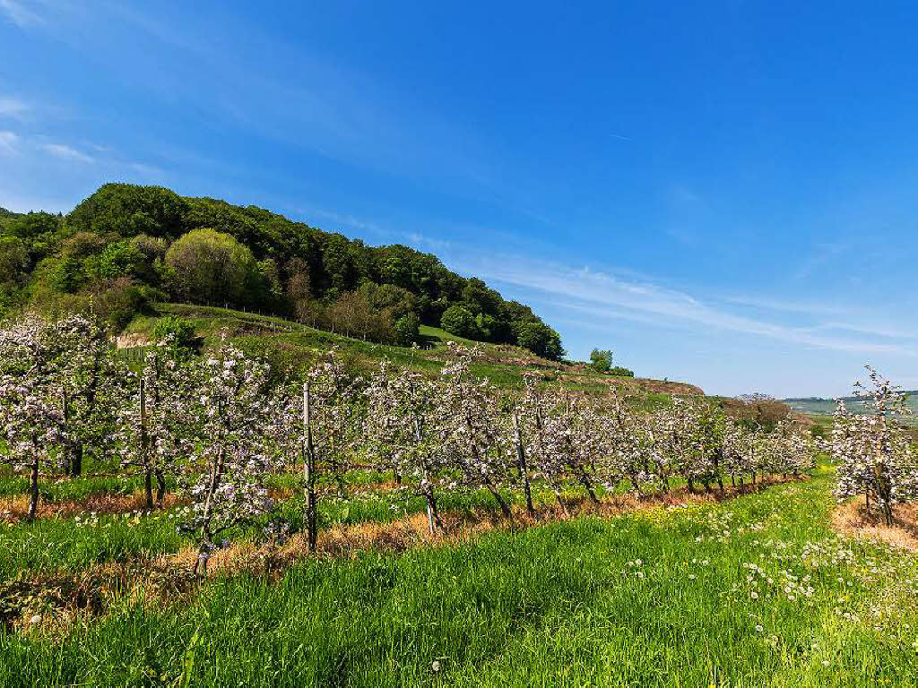 Der Kaiserstuhl ist eine Entdeckungsreise wert.