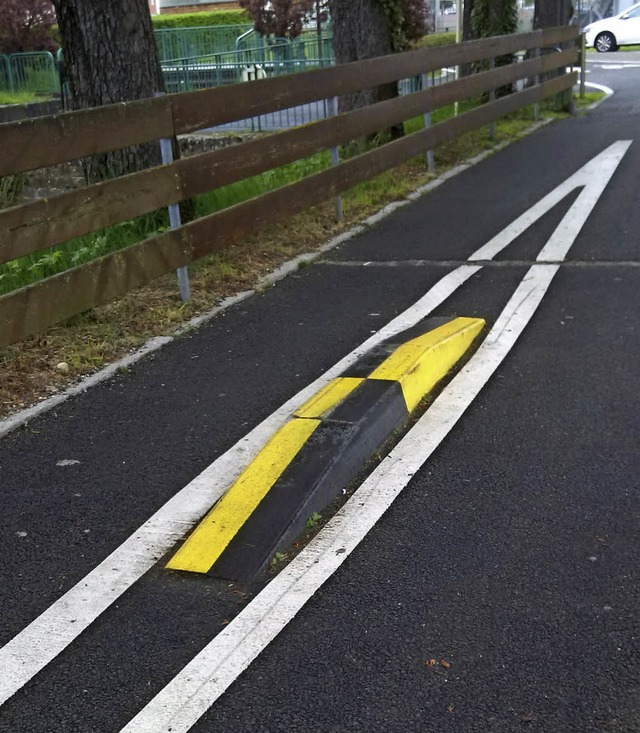 Pkw-Barrieren, wie auf dem Rheinuferwe...en, schlgt Huber fr den Weilweg vor.  | Foto: PRIVAT