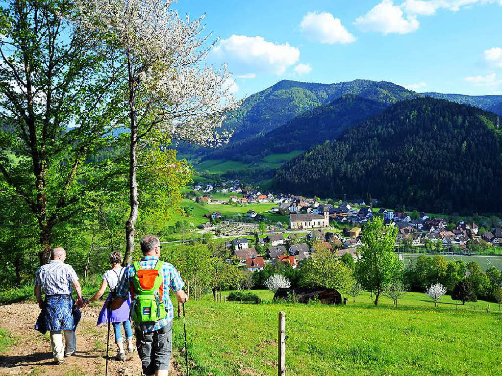 Ein Gipfeltreffen der Wanderfreunde bei Kaiserwetter auf dem Hrnleberg