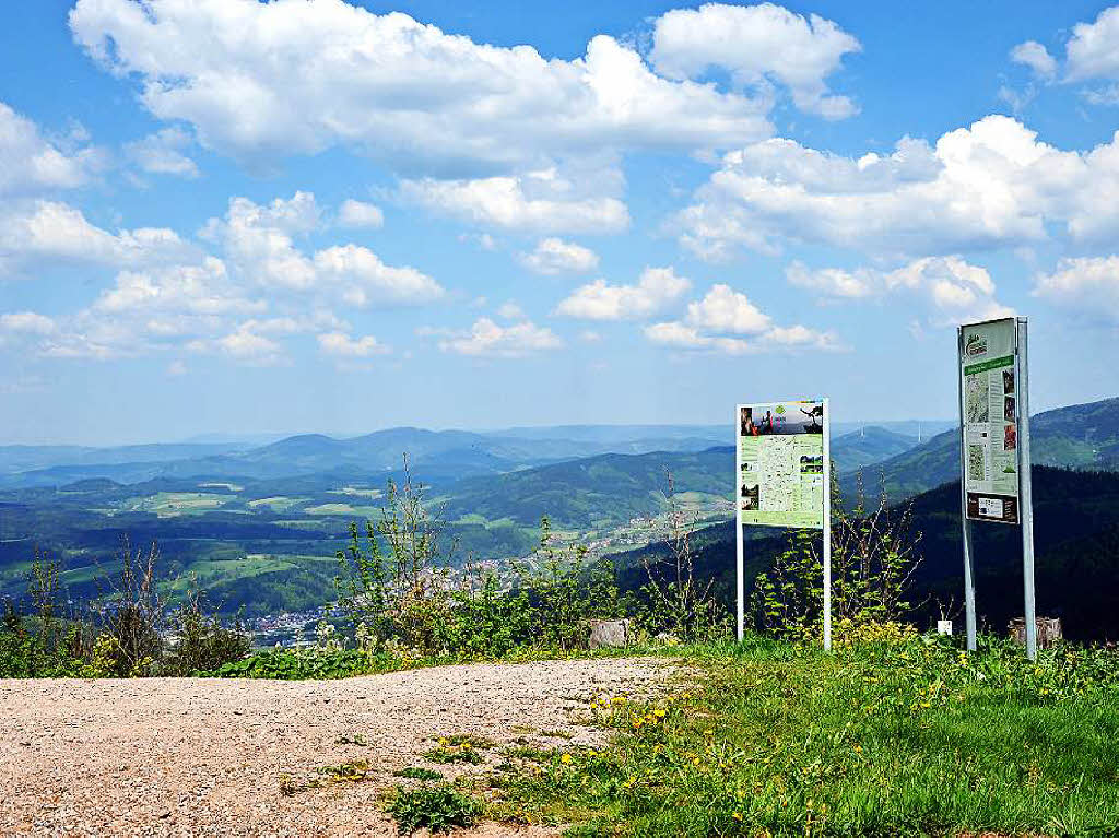 Ein Gipfeltreffen der Wanderfreunde bei Kaiserwetter auf dem Hrnleberg