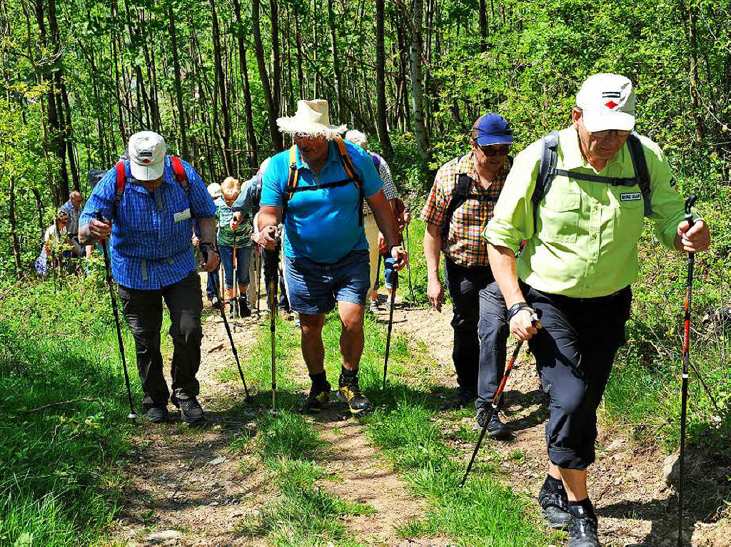 Ein Gipfeltreffen der Wanderfreunde bei Kaiserwetter auf dem Hrnleberg