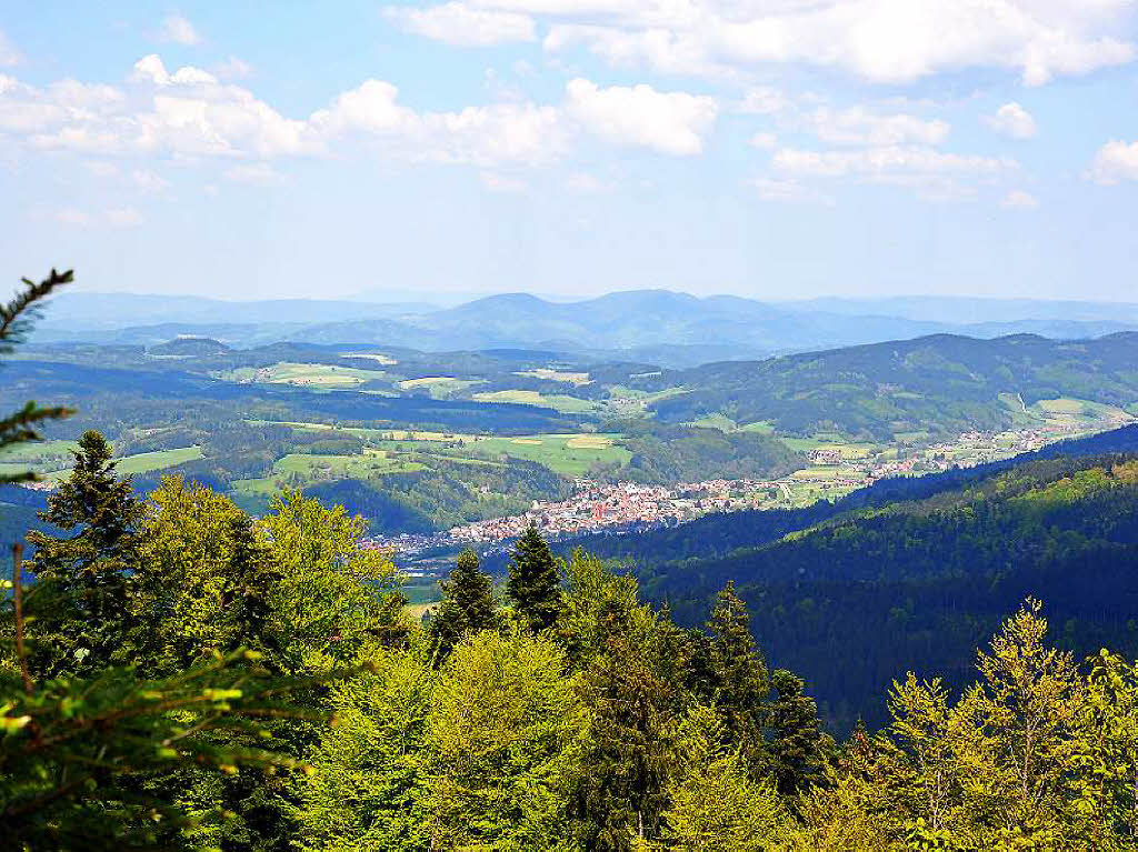 Ein Gipfeltreffen der Wanderfreunde bei Kaiserwetter auf dem Hrnleberg