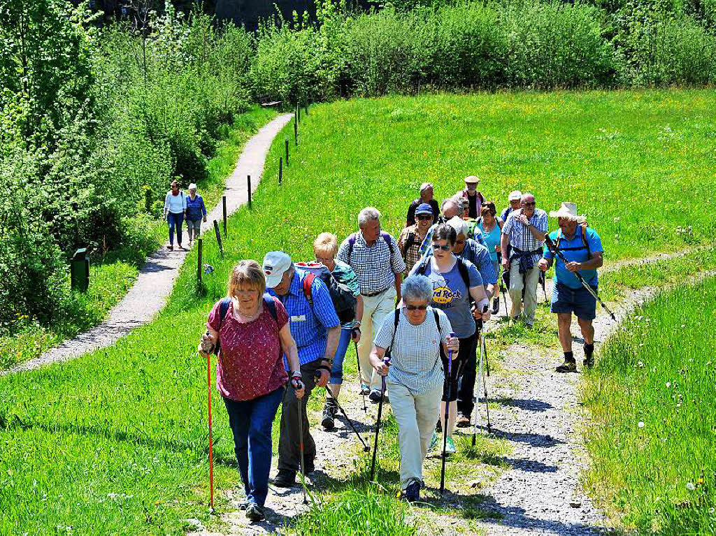 Ein Gipfeltreffen der Wanderfreunde bei Kaiserwetter auf dem Hrnleberg