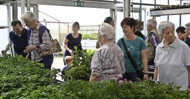 Riegel. Blumen, Pflanzen- und Gemsese...usern der werkstatteigenen Grtnerei.  | Foto: Roland Vitt