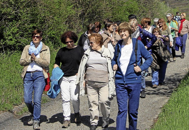 Die Landfrauen des Bezirks Freiburg wanderten durch die Oberbergener Weinberge.  | Foto: Herbert trogus