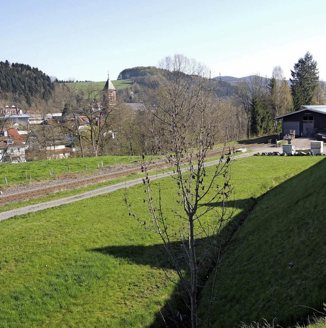 Auf dem Wiesenstck zwischen Hang (rec...ngung von Flchtlingen gebaut werden.   | Foto: Kurt Meier