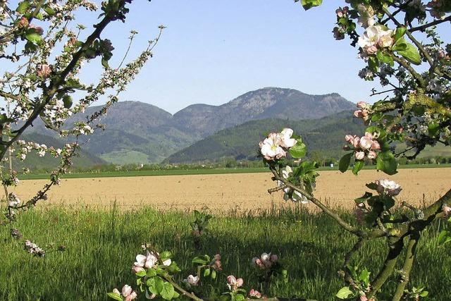 Im Sommer an der Kapazittsgrenze