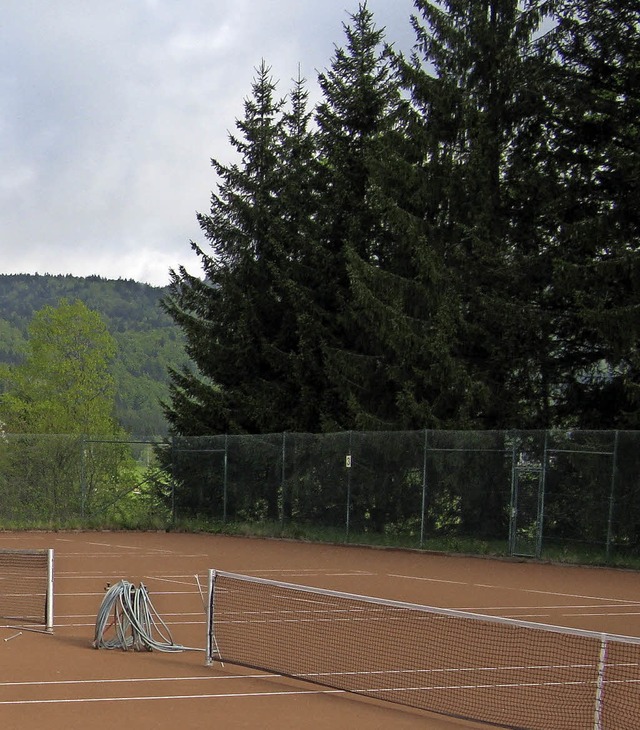 Lrmschutzwand oder Grund fr mehr Arb...ie Fichten am Rande der Tennispltze.   | Foto: Ulrike Spiegelhalter