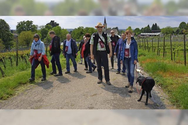 Wein und Tourismus harmonieren