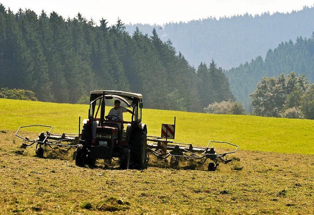 Die Landwirtschaft im Schwarzwald wird...; damit auch das Bild der Landschaft.   | Foto: dpa
