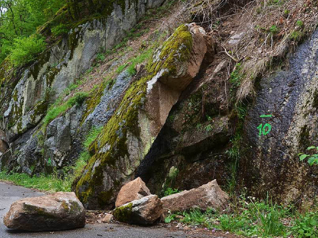 Moosbewachsene Felsbrocken auf der Strae und Sumpfdotterblumen in der Ablaufrinne: Seit die L 154 gesperrt ist, drngt die Natur mit aller Macht zurck.