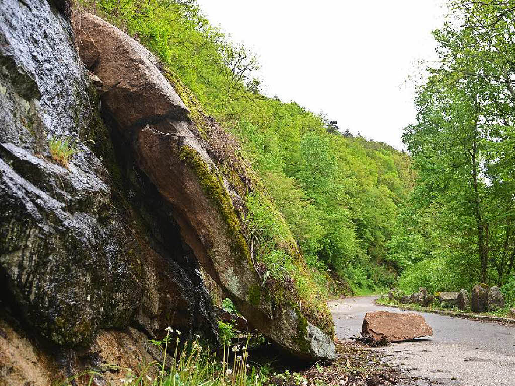 Moosbewachsene Felsbrocken auf der Strae und Sumpfdotterblumen in der Ablaufrinne: Seit die L 154 gesperrt ist, drngt die Natur mit aller Macht zurck.