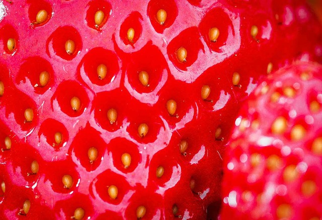 Erdbeere aus der Nhe   | Foto: dpa