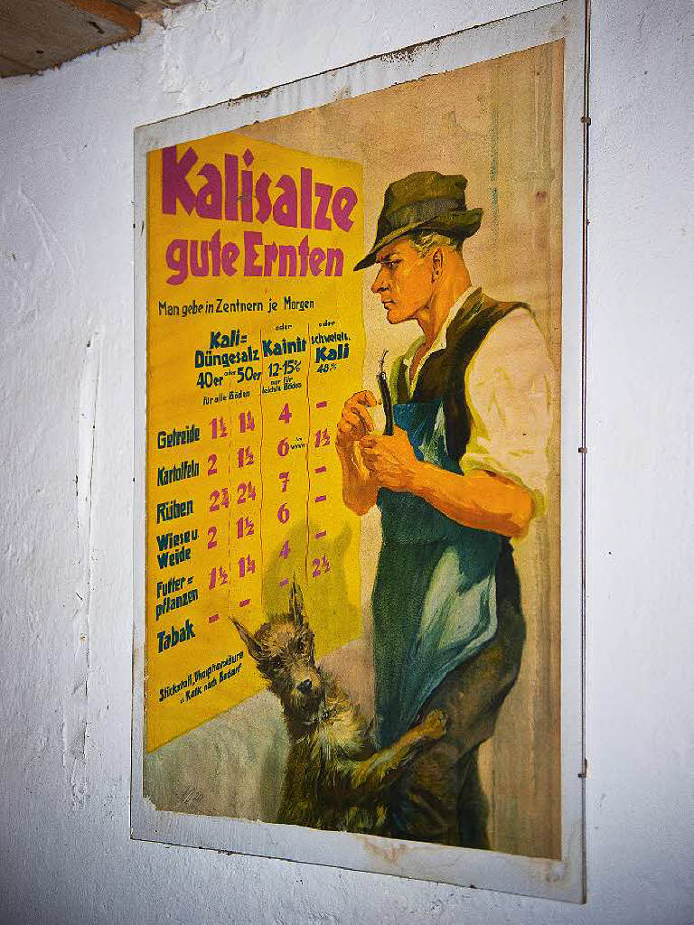 Ernst Albert fhrte am Mhlentag die zahlreichen Besucher durchs Mhlenmuseum in Boll. Das Wanderwetter nutzten die Gste auch fr eine Erkundung der schnen Ecken im Dorf.