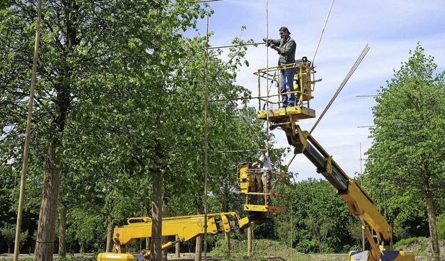 Vorbereitung fr den Formschnitt im Brgerpark   | Foto: Landesgartenschau