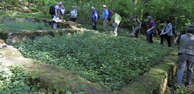 Reste eines der drei Eichberghfe auf dem Eichberg  | Foto: Georg Vo