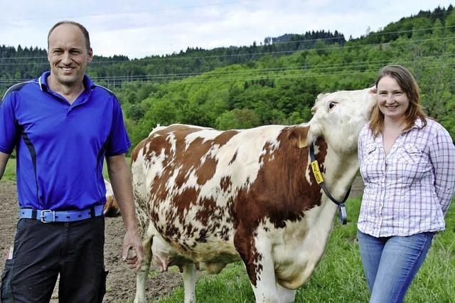 Mit Milch ist nichts mehr zu verdienen