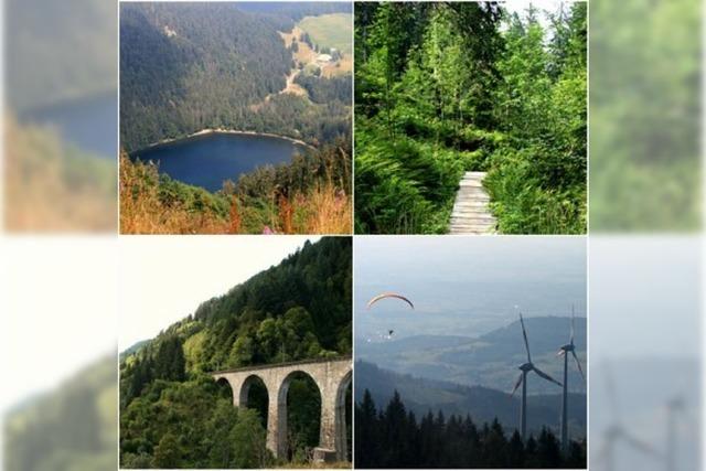 Gleitschirmfliegen, Schluchtwandern, Radeln: 5 Ausflugstipps für den Schwarzwald