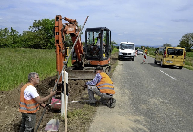 Sasbach. Zaunarbeiten entlang der L 11...ehweg- und der Grnbrcke bei Sasbach.  | Foto: Roland Vitt