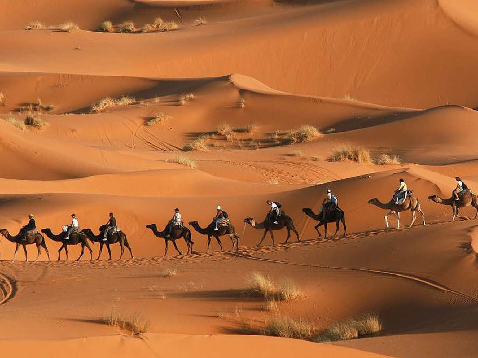 Ein Gottesstaat mitten in der Wüste?  | Foto: Wolfgang Grabherr