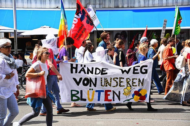 Demonstranten mit Transparenten und Flaggen    | Foto: Annette Mahro