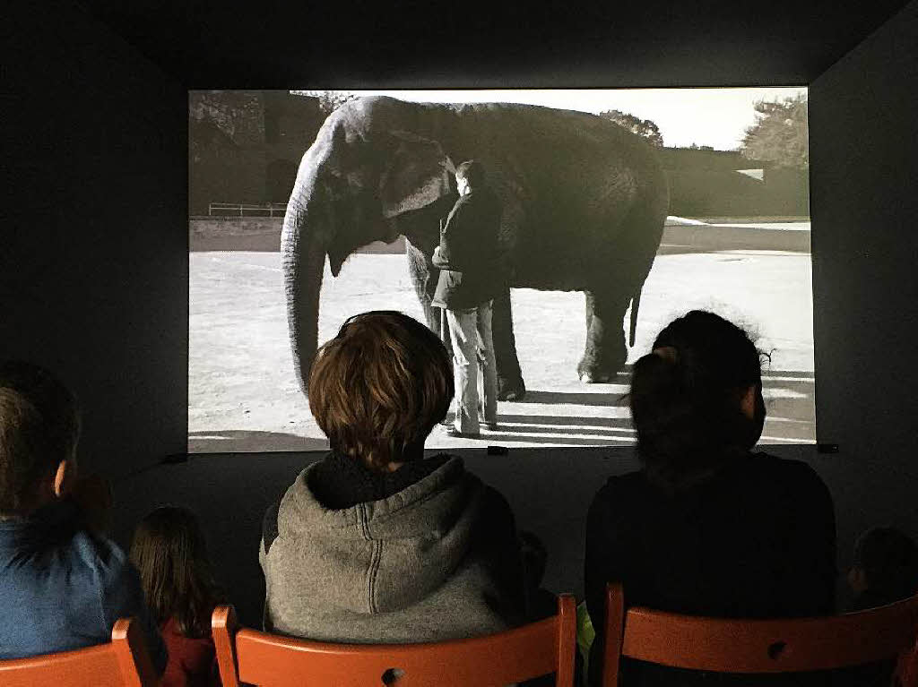 Der Film, den die Kinder hier anschauen, zeigt, wie Blinde einen Elefanten ertasten. Sie erzhlen dabei, wie sich die Elefantenhaut fr sie anfhlt.