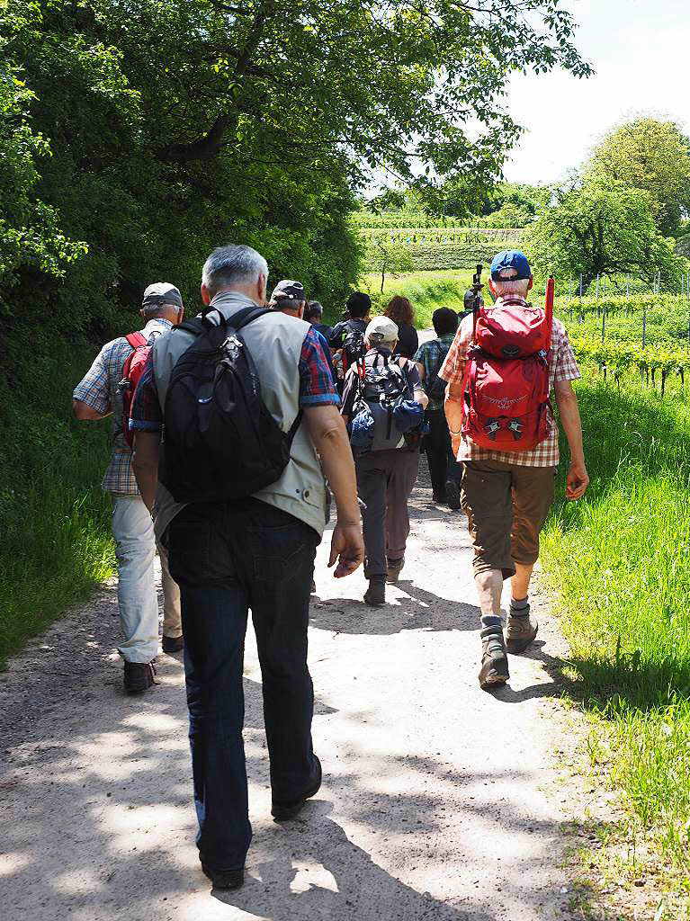 24 BZ-Wanderer bei schnstem Wetter auf den Spuren der alternativen Energien im Ortenaukreis.