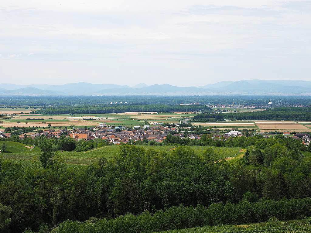 Blick auf Ringsheim, dahinter die Vogesen.