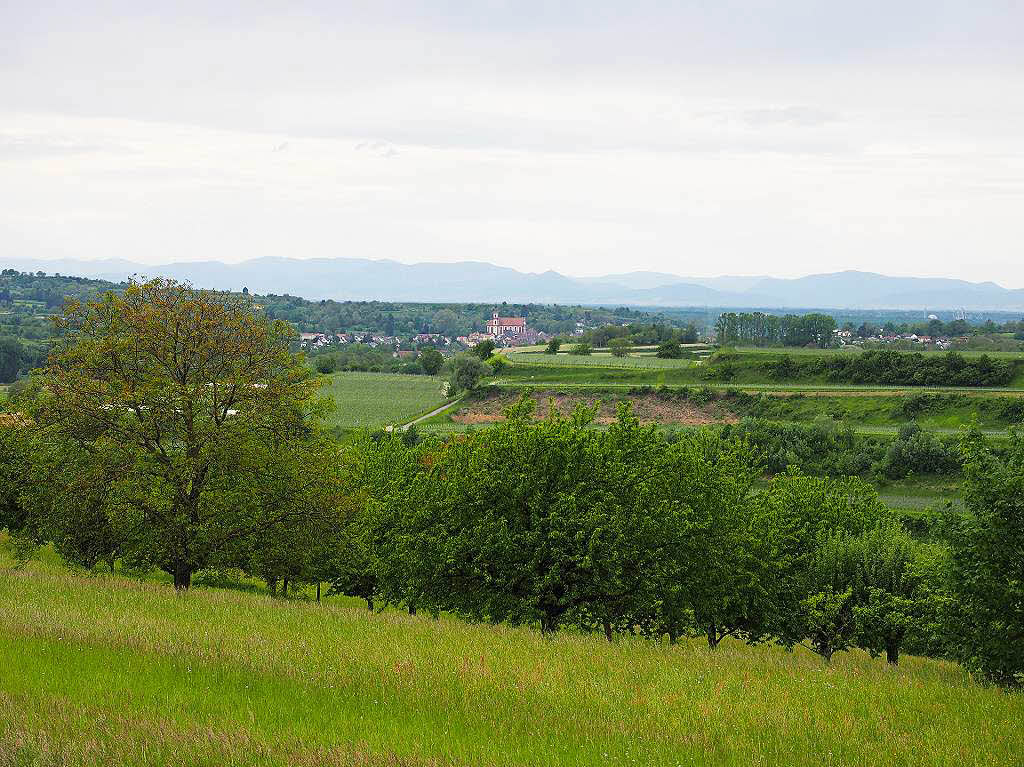 Blick auf Ettenheim, im Hintergrund die Vogesen.