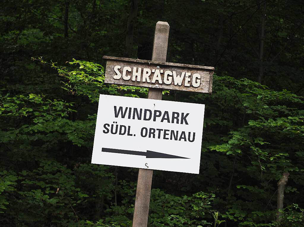 Auf den Spuren der alternativen Energien im Ettenheimer Wald.