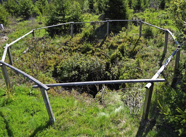 Auf Lenzkircher Gemarkung ist noch ein...ld, etwa 500 Meter  westlich Stallegg.  | Foto: Friedbert Zapf