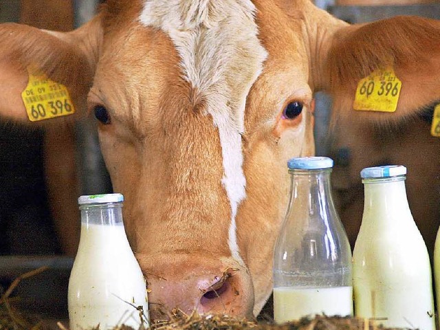 In Stegen dreht sich vom 1. bis 5. Juni alles um die Milch.  | Foto: Karl-Josef Hildenbrand